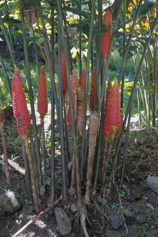 IMG01962.jpg
