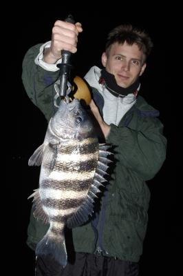 harold sheepshead 02-03-2003