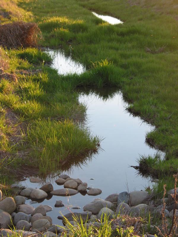 Still Water