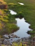 Still Water