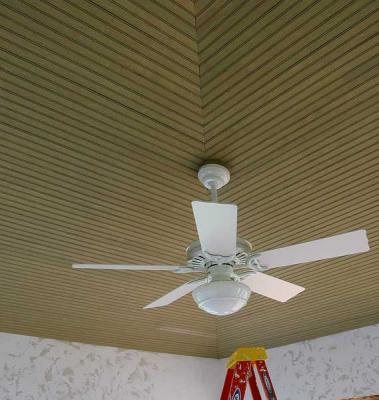 Sun Room Ceiling