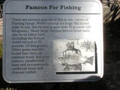 u9/mrtea630/medium/6545274.SignsatFlamingGorge9902.6.jpg