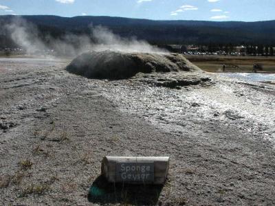 Yellowstone National Park, Sponge Geyser and Sign  9-10-02.JPG