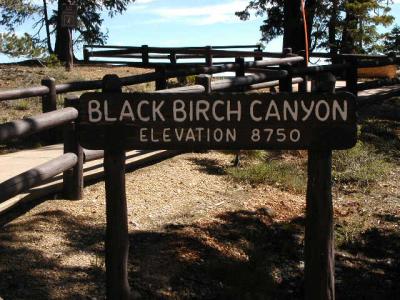 u9/mrtea630/medium/6547645.BryceCanyonNationalParkBlackBirchCanyonsign91502.1.jpg