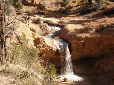 u9/mrtea630/medium/6547766.MossyTrailwaterfall91502.3.jpg