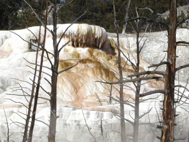 Mammoth Hot Springs,  9-11-02..9.JPG
