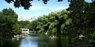 Central Park Lake.jpg