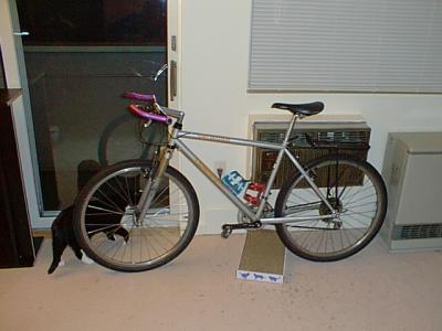 My bikes