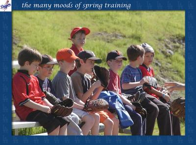 Spring Training  by Stinson