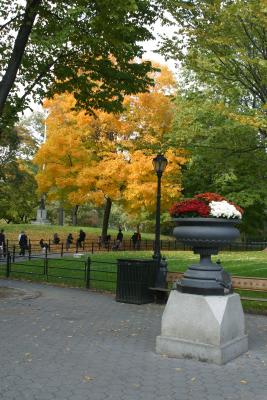 IMG_8446.JPG
