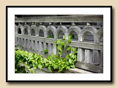 Arches in Rail w/Ivy
