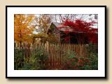 Evening Fall Color at the Studio