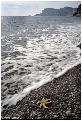 toile de mer