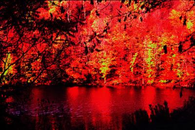 red yellow pond  2  .jpg