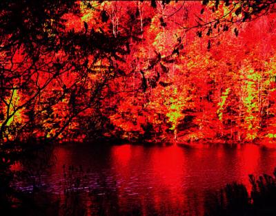 red yellow pond.jpg