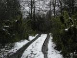 camino a la cascada Chachin