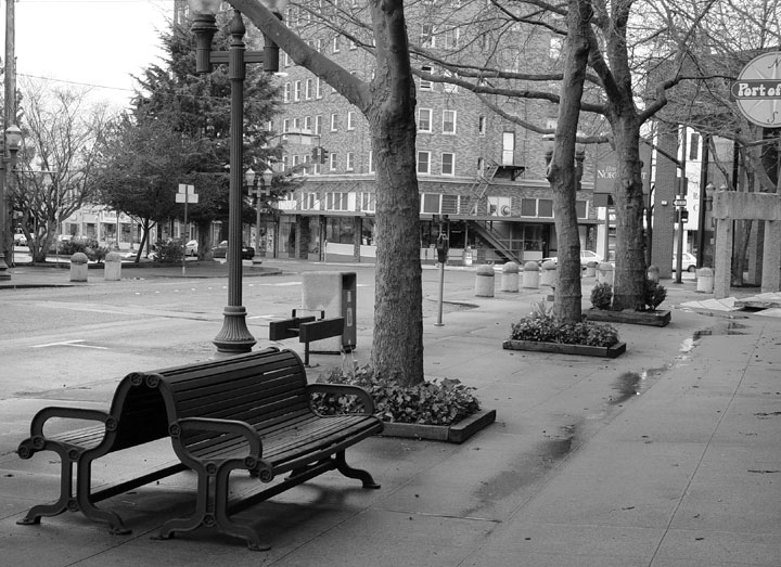 <B>Magnolia Street</B>