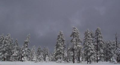 On the Road to Flagstaff