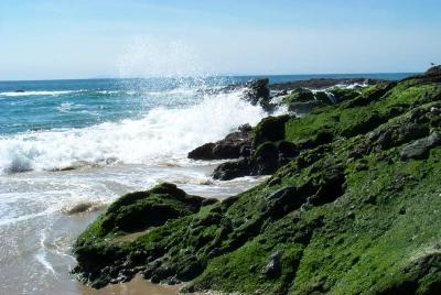 Surf on Mossy Rocks
