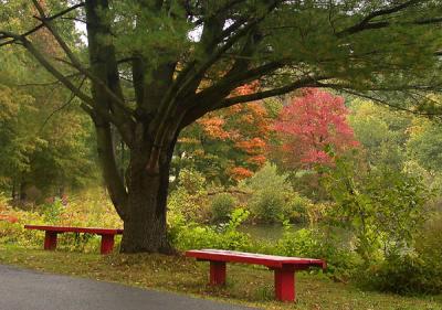 Buddha Benches