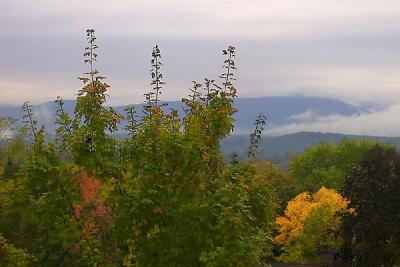 View from Cole's porch