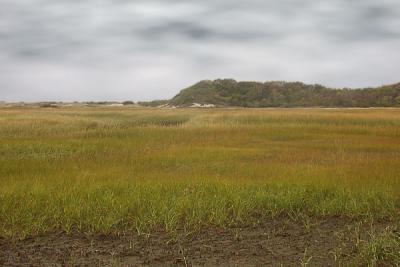 The Marsh