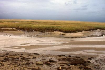Low Tide