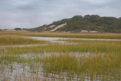 Low Tide