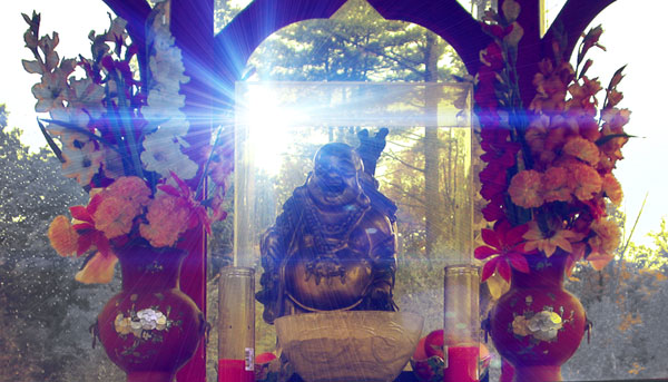 Buddha in the Light