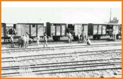 Gallery #5 = WW II  GI's All Aboard !!!! Starting the long Journey back to the USA.  June 1945