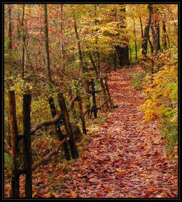 Wet Rail Trail.jpg