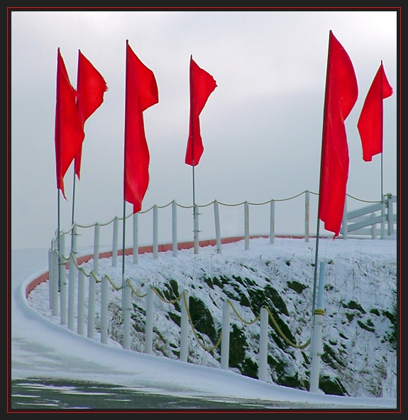 Raising Red Flags 2SBc red flags P1170063.jpg