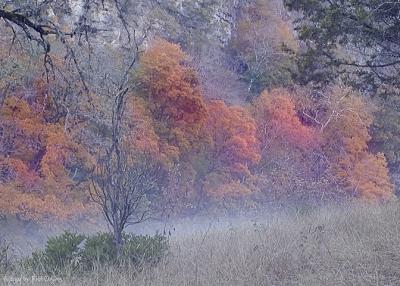 Fall Morning