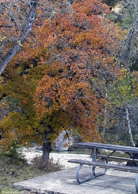 Fall Picnic