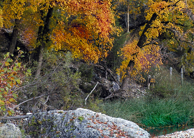 Fall On Rock