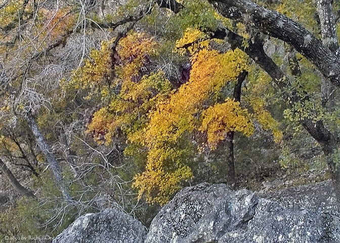 Fall Down Hill