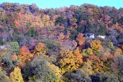 Fall foliage on bluff overlooking Missouri River near confluence of Cedar Creek, taken 11/01/02