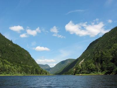 u9/schumann/medium/4036732.Img_4215.jpg