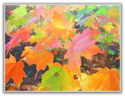 Autumn Leaves digital art