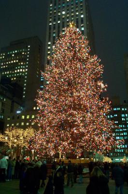 Rockefeller Center (Christmas Tree)