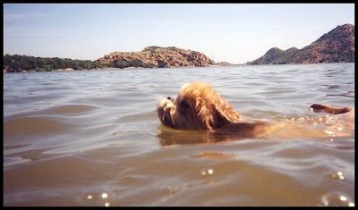 World Class Swimmer