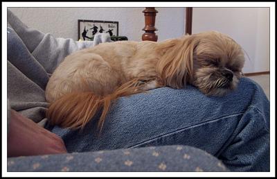 Favorite Spot