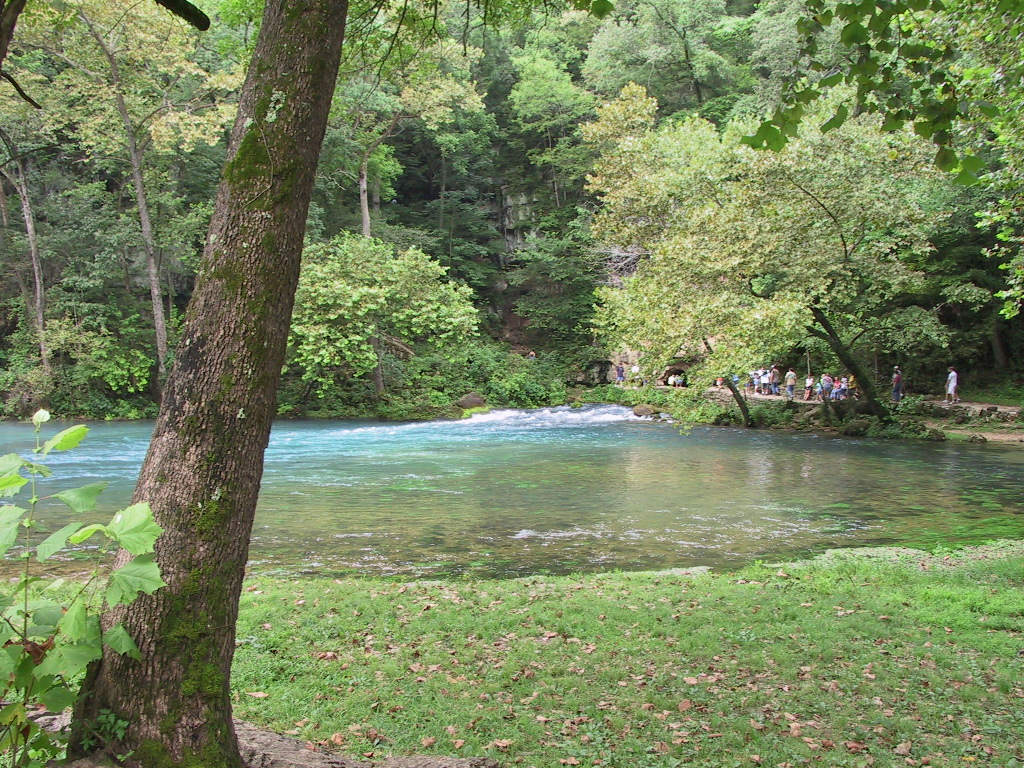 100-0021_IMG.JPG