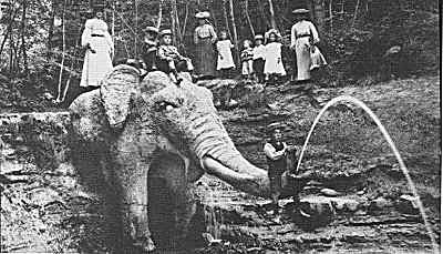 elefant @ 1900