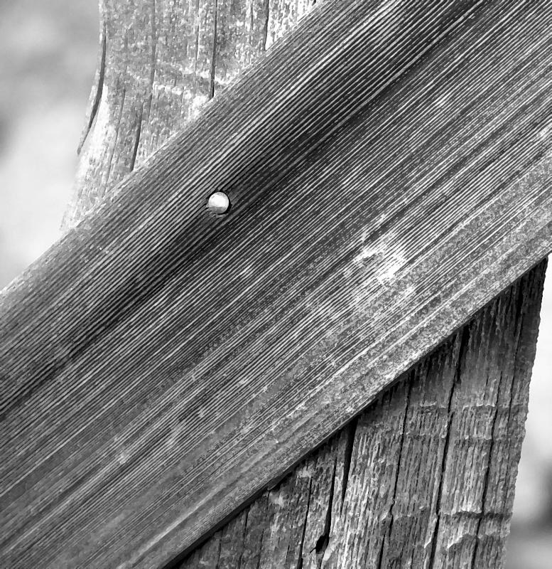 Central Oregon Fencepost
