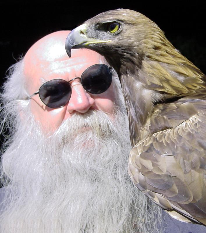 The Falconer by CindyD