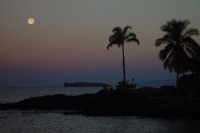 Moonset at Dawn  by kudbegud