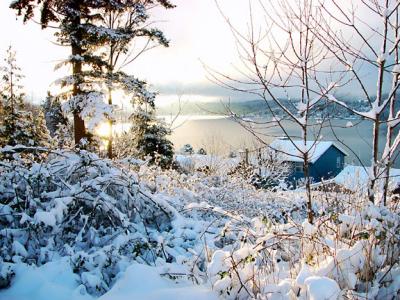 Winter View of Lake WhatcomBy Ann Chaikin