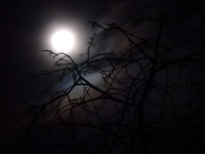 Creepy Moon