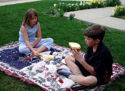 Picnic by Lisa Young
